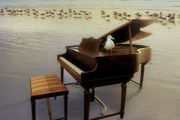 卡农钢琴谱 Johann Pachelbel-卡农五线谱D调