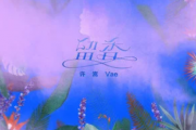 留香吉他谱 许嵩-留香弹唱谱C调