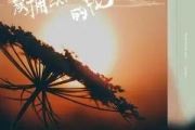 簇拥烈日的花简谱 迟里乌布（双手简谱）钢琴谱