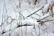 如始之末鼓谱 醉雪-如始之末【原版】架子鼓谱