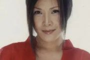 田震-风雨彩虹铿锵玫瑰吉他谱六线谱