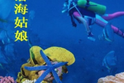 潜海姑娘吉他谱 王立平-潜海姑娘指弹独奏曲