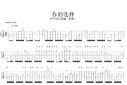 你的选择吉他谱 易欣-你的选择指弹独奏曲