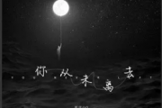 你从未离去吉他谱 旺仔小乔G调编配弹唱