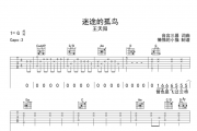 迷途的孤鸟吉他谱 王天阳-迷途的孤鸟六线谱G调