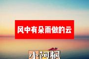 小阿枫-风中有朵雨做的云简谱E调