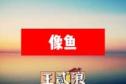 王贰浪-像鱼简谱B调