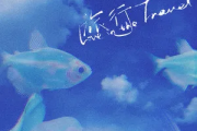 TF家族-旅行（Love in the travel）吉他谱六线谱