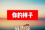 林志炫-你的样子简谱G调