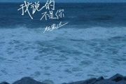 我说的不是你吉他谱 杜宣达-我说的不是你六线谱