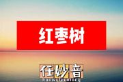 任妙音-红枣树简谱#C调
