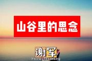 谢军-山谷里的思念简谱E调