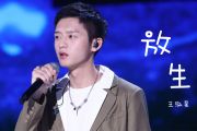 王泓昊《放生》吉他谱六线谱