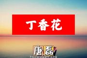 唐磊-丁香花简谱G调