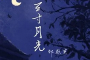 邹秋实 三寸月光吉他谱六线谱C调
