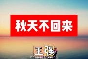 王强-秋天不回来简谱G调