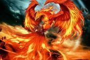 时代少年团-朱雀架子鼓谱爵士鼓曲谱