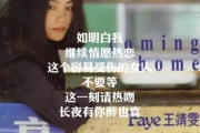 王菲-容易受伤的女人架子鼓谱爵士鼓曲谱