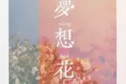 七叔（叶泽浩）梦想花吉他谱六线谱