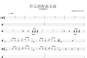 小蓓蕾组合 什么结籽高又高（经典民谣）架子鼓谱爵士鼓曲谱