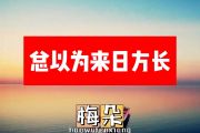 梅朵-总以为来日方长简谱降A调