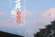 TANK挺仔《真的爱着你》吉他谱弹唱谱