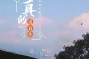 真的爱着你吉他谱 TANK挺仔-真的爱着你C调编配弹唱