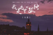我是夜里的孤独吉他谱 大美-我是夜里的孤独六线谱