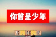 S.H.E-你曾是少年简谱G调+动态简谱
