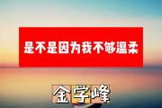 金学峰-是不是因为我不够温柔简谱A调+动态简谱