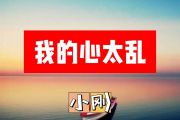 小刚-我的心太乱简谱G调+动态简谱