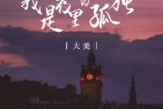 大美-我是夜里的孤独-双手简谱带歌词钢琴谱