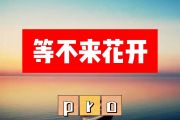 pro-等不来花开简谱D调+动态简谱
