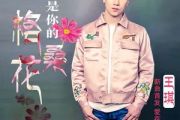 王琪 -我是你的格桑花吉他谱弹唱谱C调