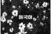 걱정말아요 그대 (你不要担心)鼓谱 野菊花架子鼓谱