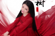 红枣树鼓谱 任妙音 红枣树架子鼓谱