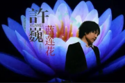 蓝莲花贝斯谱 许巍-蓝莲花贝司BASS谱
