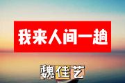 魏佳艺-我来人间一趟简谱G调+动态简谱