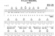 曾抖抖-平凡日子里的挣扎吉他谱G调弹唱谱