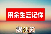 用余生忘记你简谱 魏佳艺《用余生忘记你》简谱+动态简谱视频