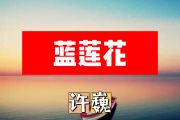 蓝莲花简谱 许巍《蓝莲花》简谱+动态简谱视频