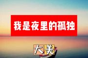 我是夜里的孤独简谱 大美《我是夜里的孤独》简谱+动态简谱视频