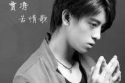 平淡的歌吉他谱 贾涛《平淡的歌》六线谱|吉他谱C调和弦指法编配
