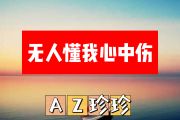 无人懂我心中伤简谱 AZ珍珍《无人懂我心中伤》简谱+动态简谱视频
