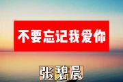 不要忘记我爱你简谱 张碧晨《不要忘记我爱你》简谱+动态简谱视频