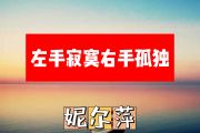 左手寂寞右手孤独简谱 妮尔萍《左手寂寞右手孤独》简谱+动态视频