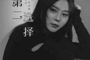 第二选择吉他谱 李乐乐《第二选择》六线谱C调指法编配吉他谱