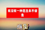 有没有一种思念永不疲惫简谱 梅朵《有没有一种思念永不疲惫》简谱+动态视频