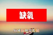 缺氧简谱 轩埭（相信光）《缺氧》简谱+动态视频