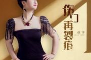 我把你的吻埋进我伤痕鼓谱 赵洋-我把你的吻埋进我伤痕架子谱+动态视频